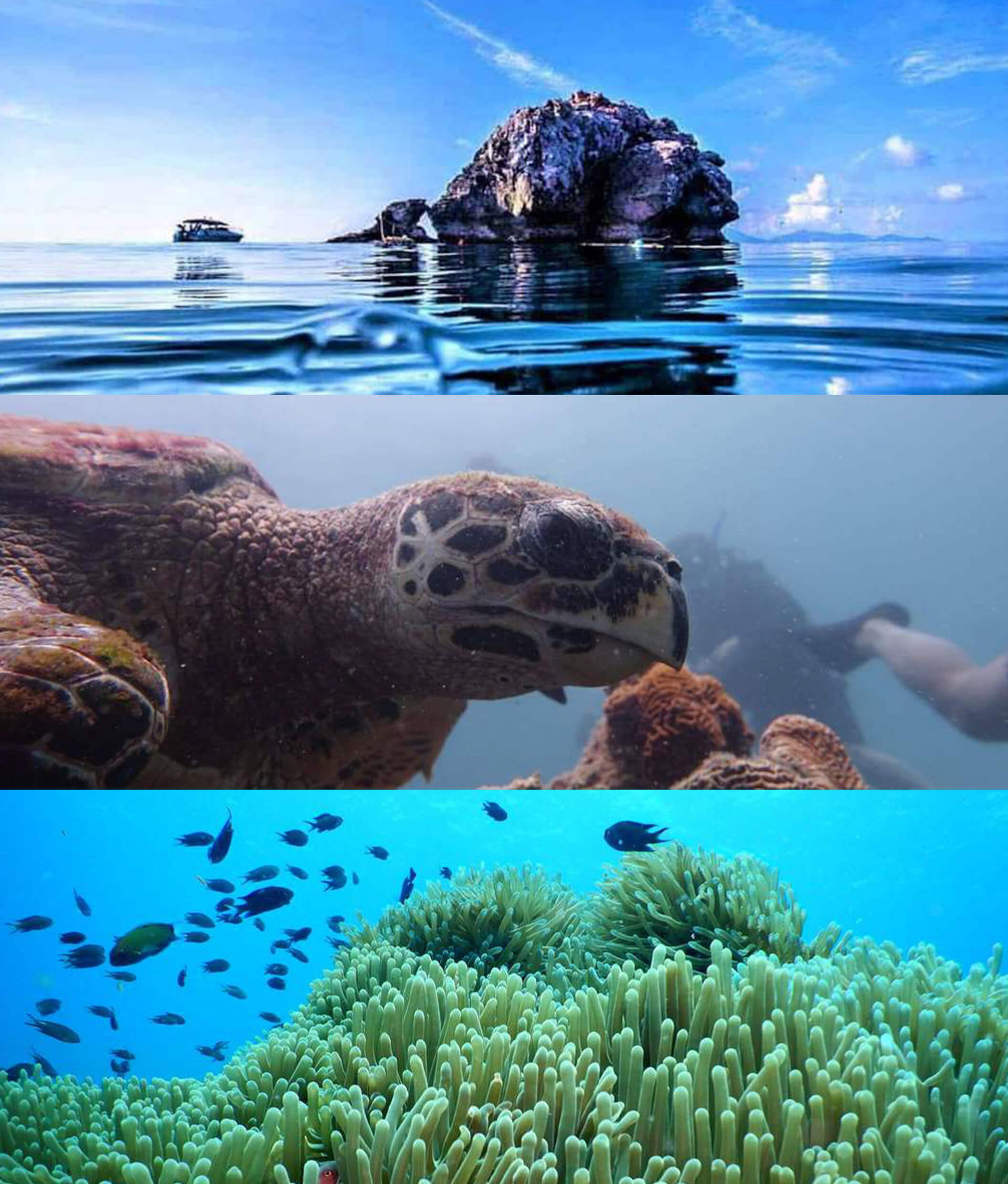 diving-tours-samui-011