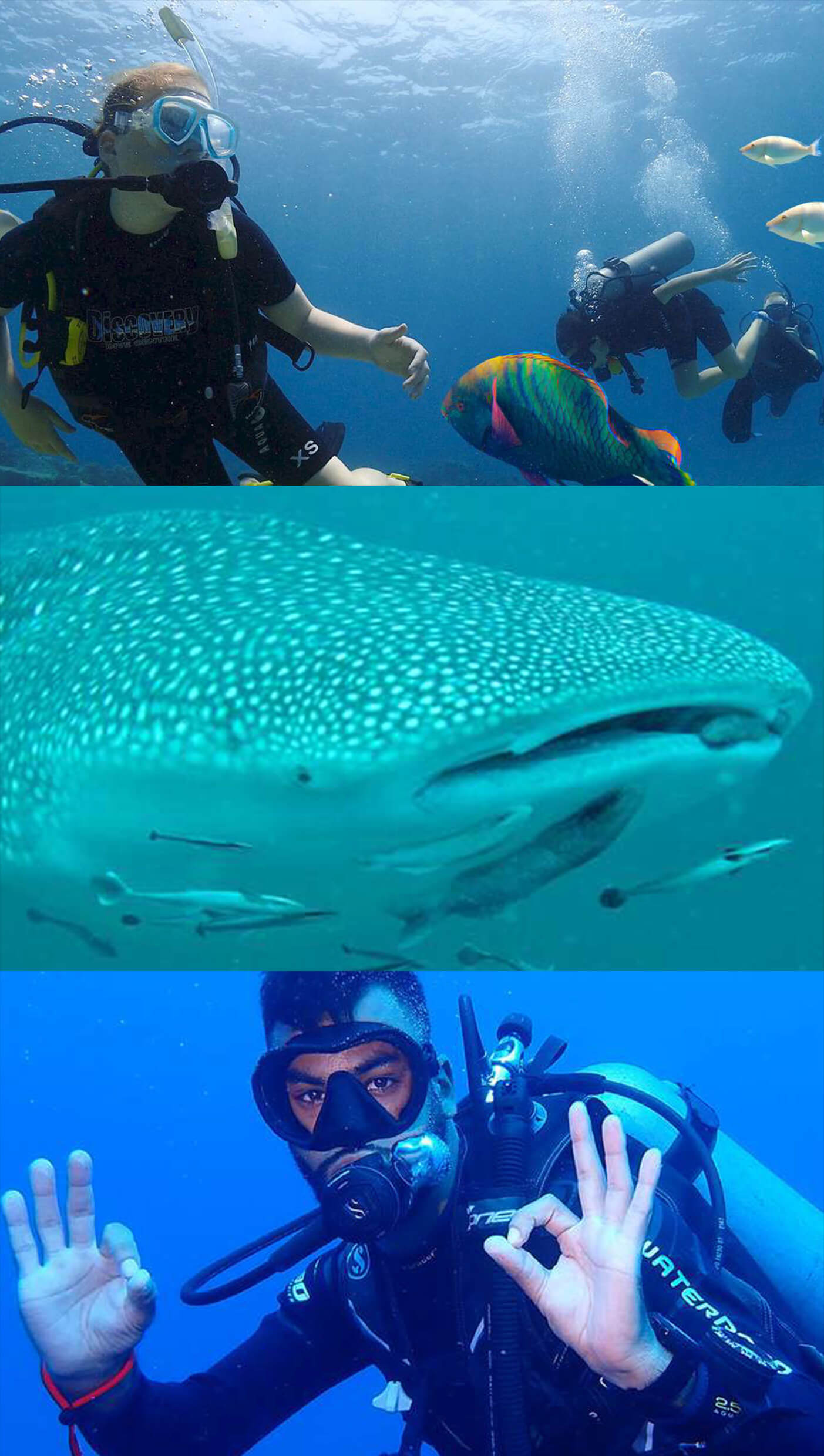 diving-tours-samui-06