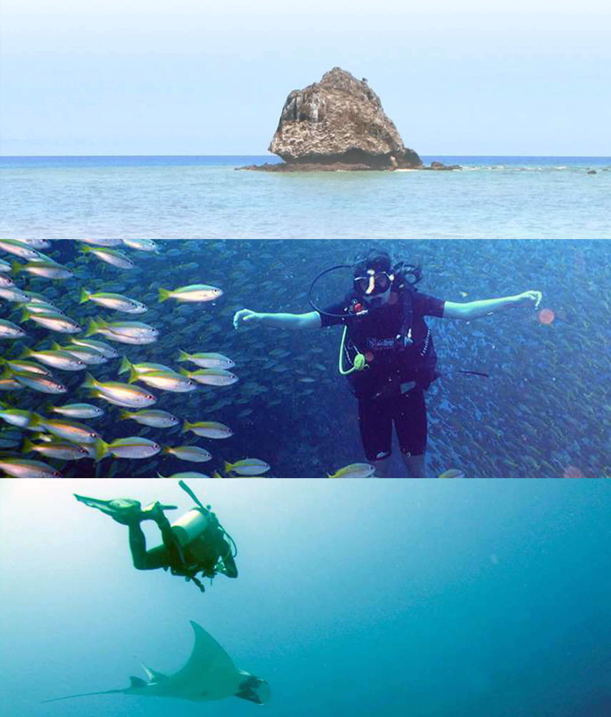 diving-tours-samui-07(1)