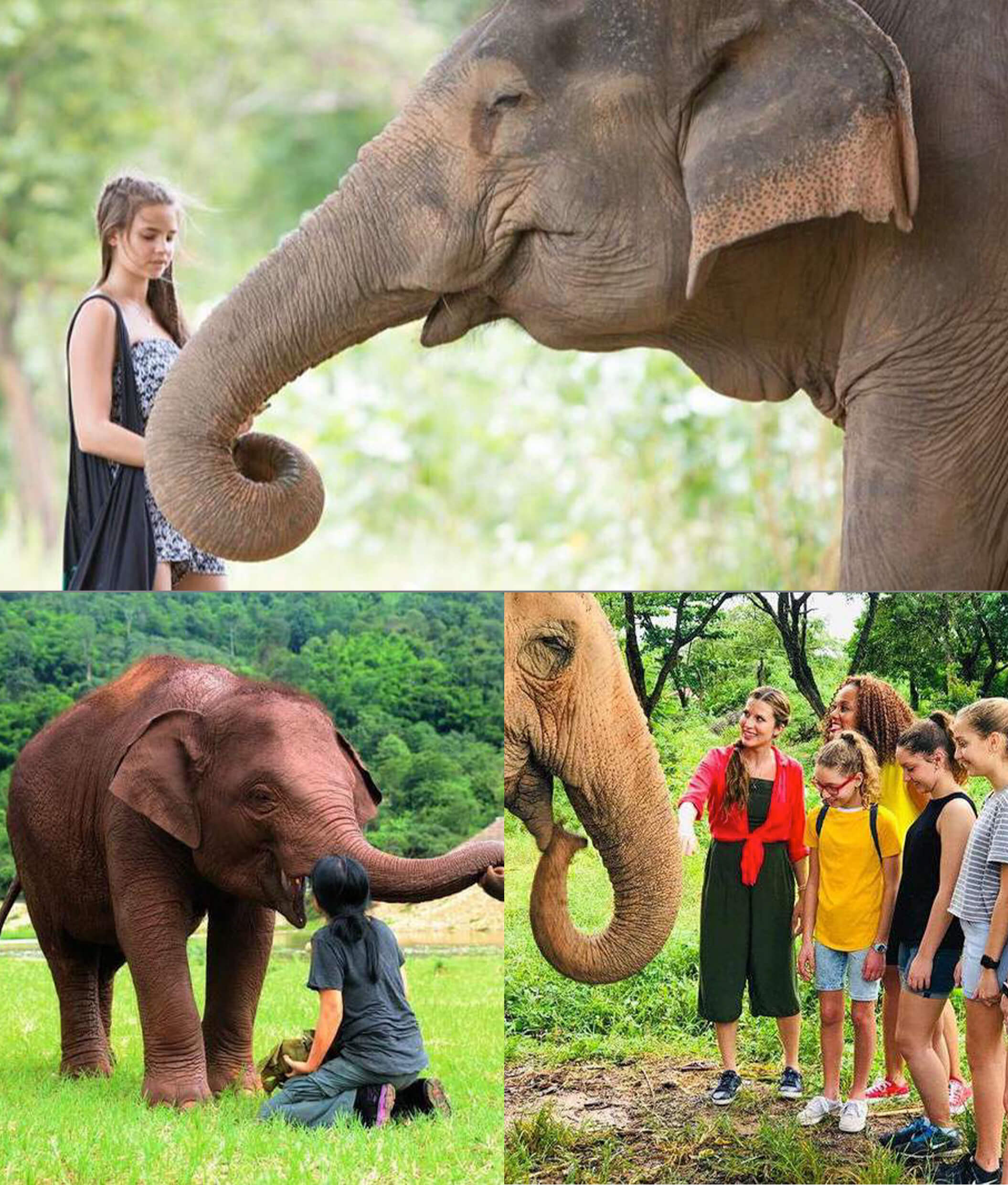 elephant-sanctuary-samui-01