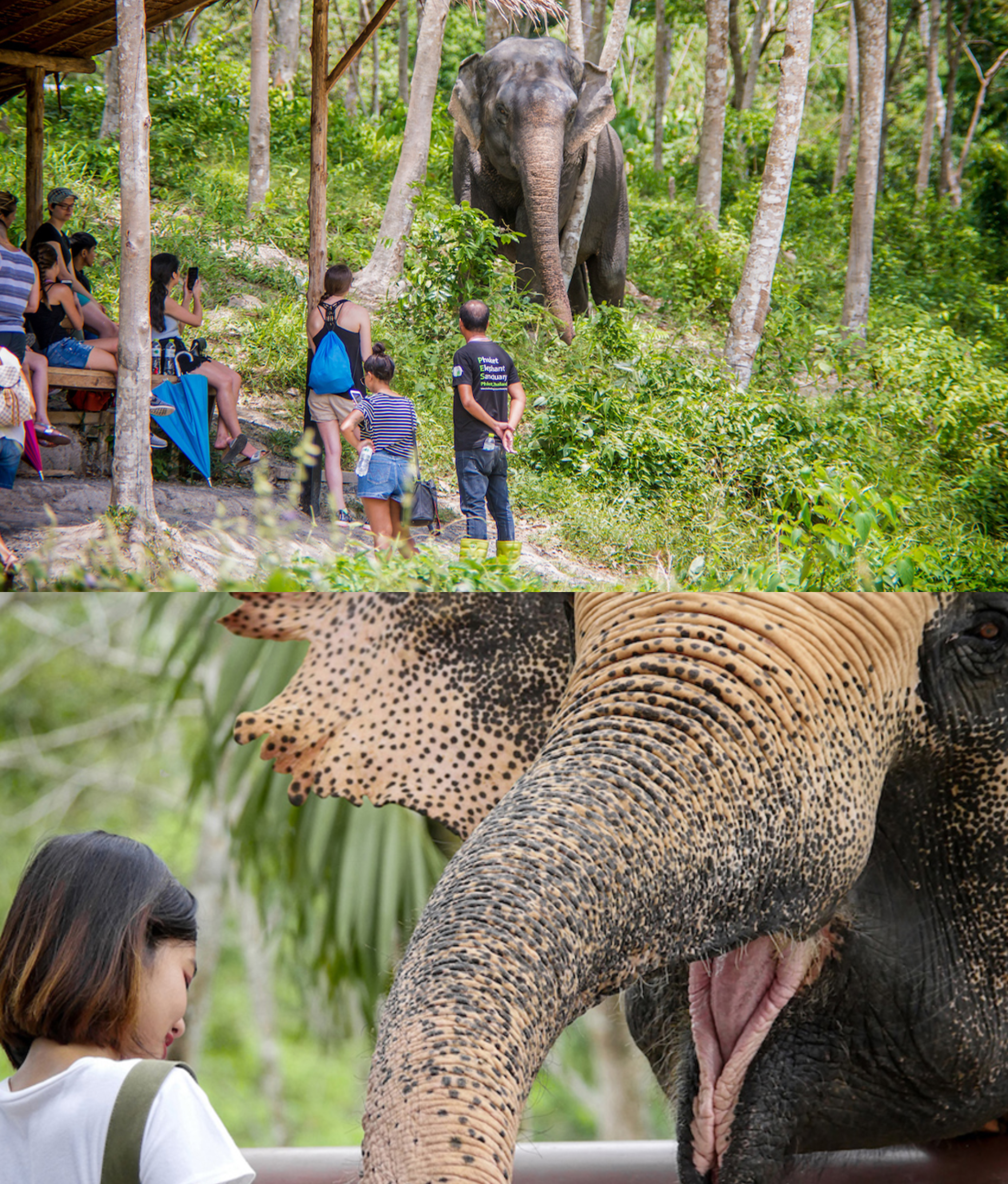 Private Tour Guide Program