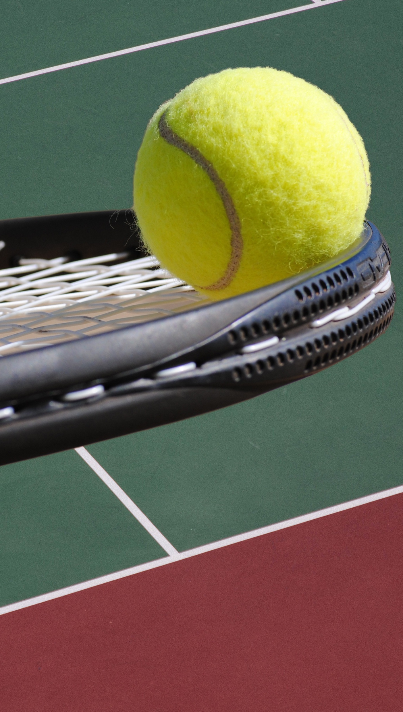 tennisniseko