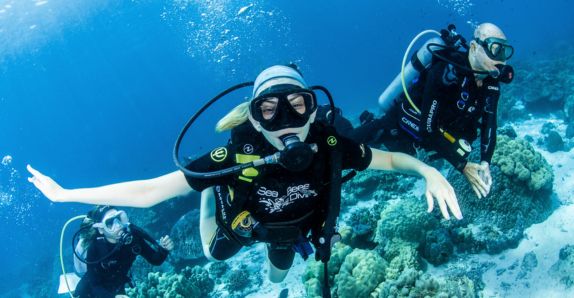 Diving Tours