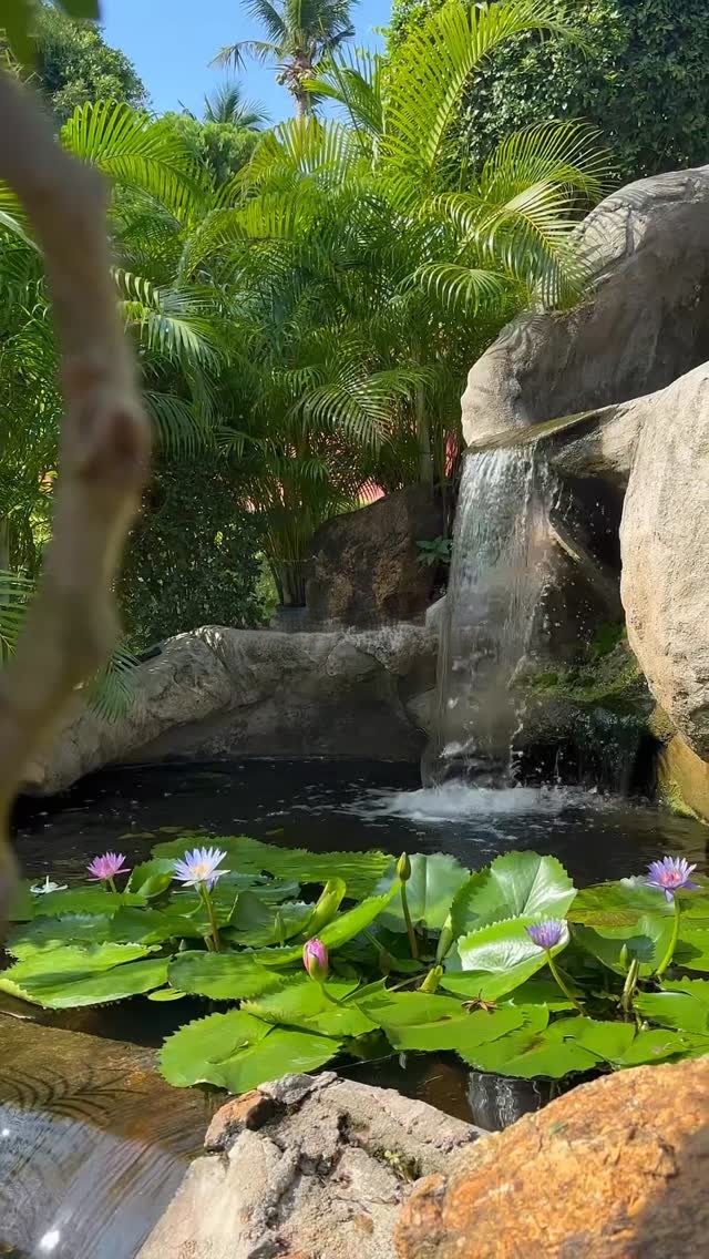 Eranda Herbal Spa