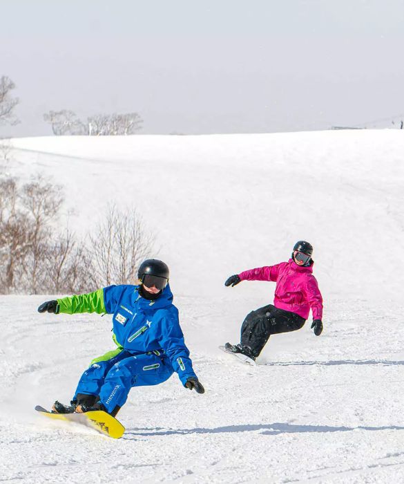 Ski and Snowboarding Private Lesson - Go Snow - Niseko 01.02 Ski and Snowboarding Private Lesson - Go Snow - Niseko 01.02