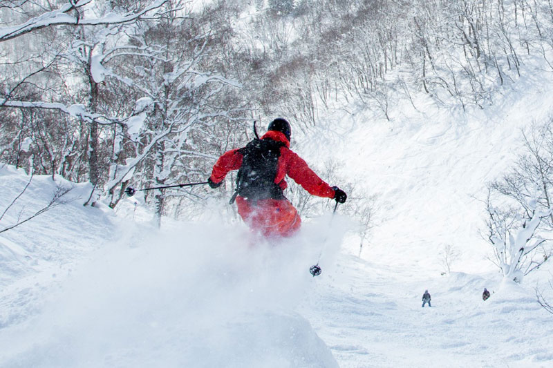Cross-Country Ski Tour Niseko View 4