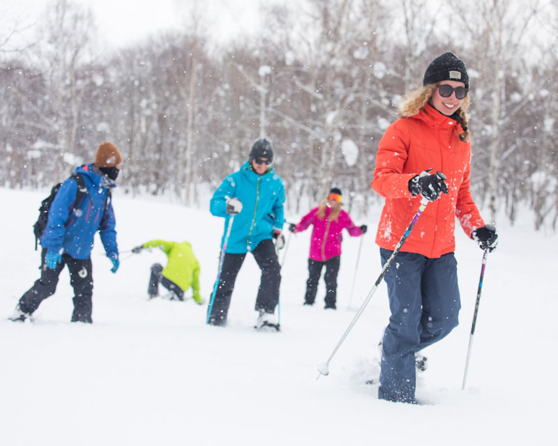 Niseko Village Snowshoe Tour View 1